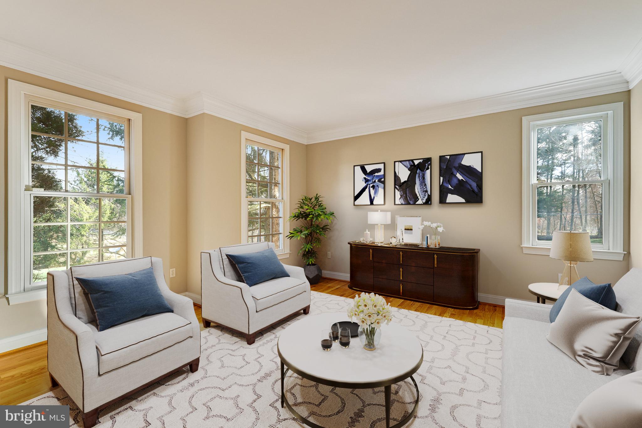 11001 GREEN BRANCH COURT