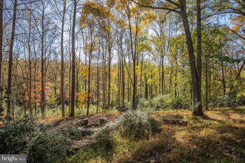9109 MILL POND VALLEY DRIVE