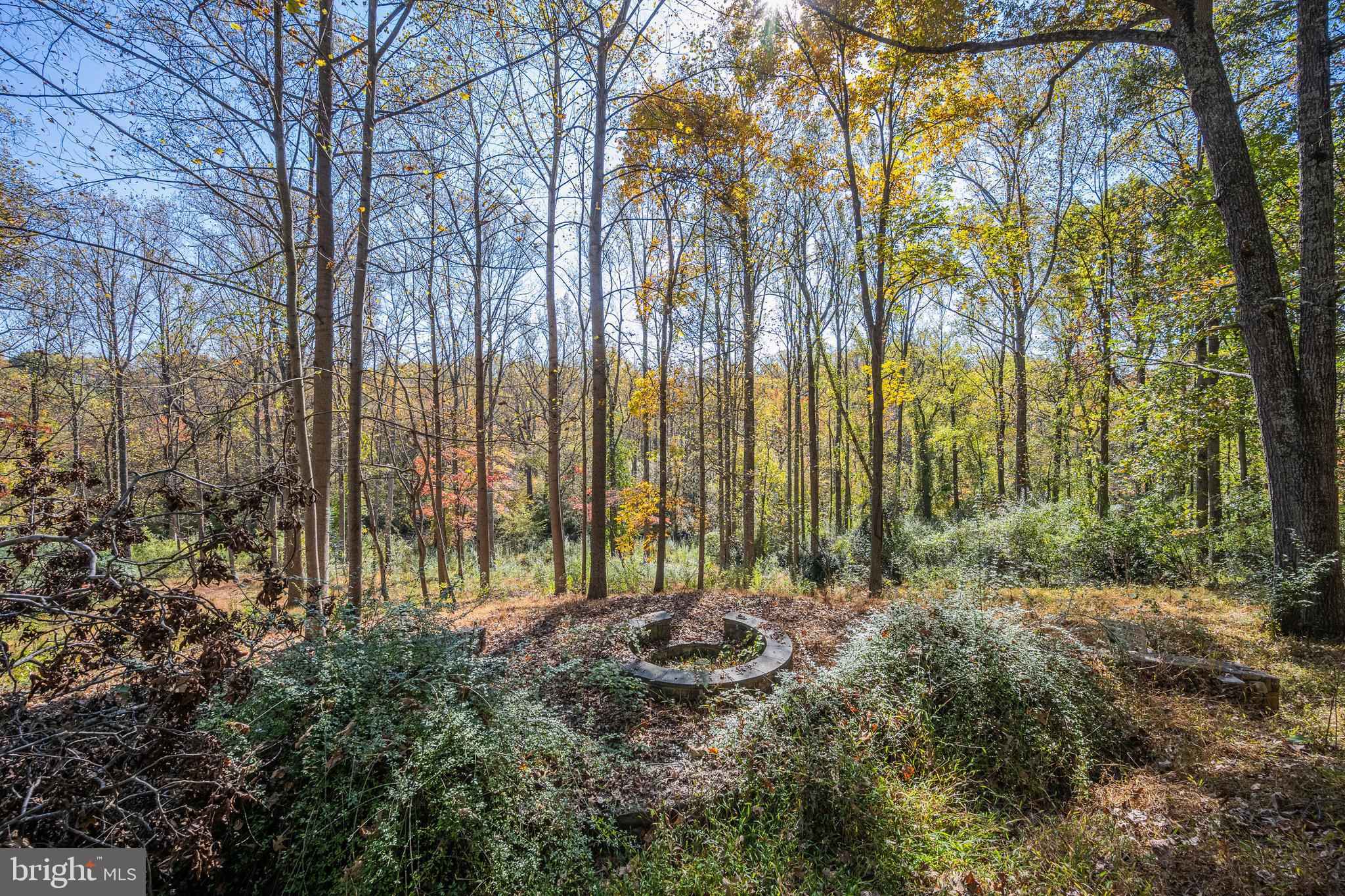 9109 MILL POND VALLEY DRIVE