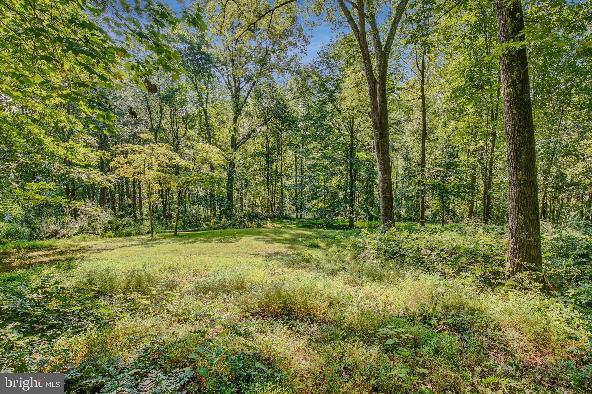 9109 MILL POND VALLEY DRIVE