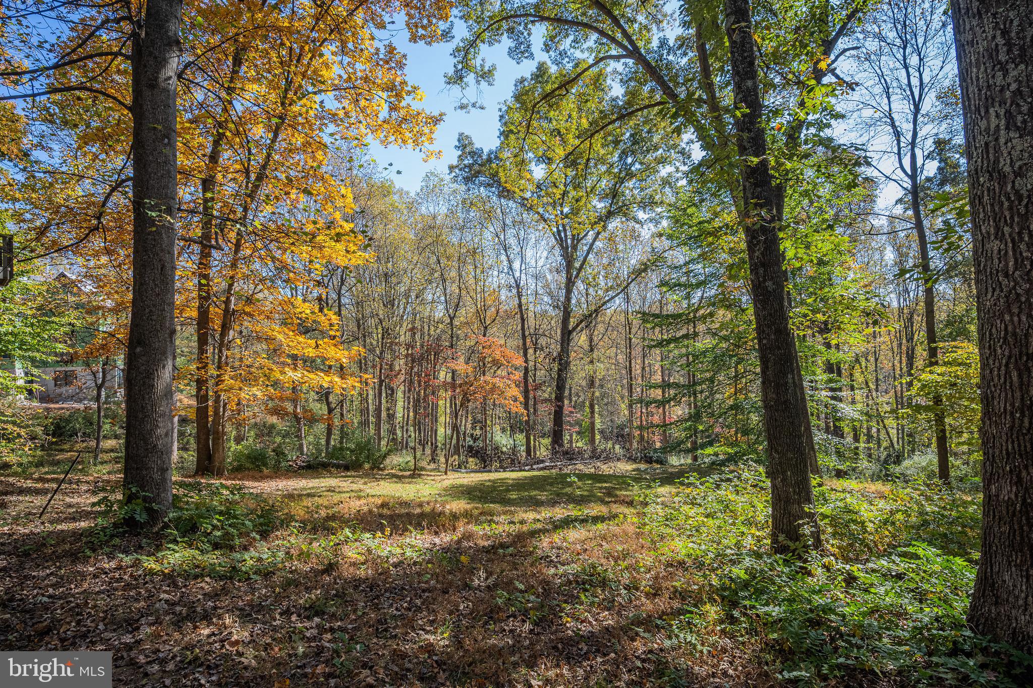 9109 MILL POND VALLEY DRIVE