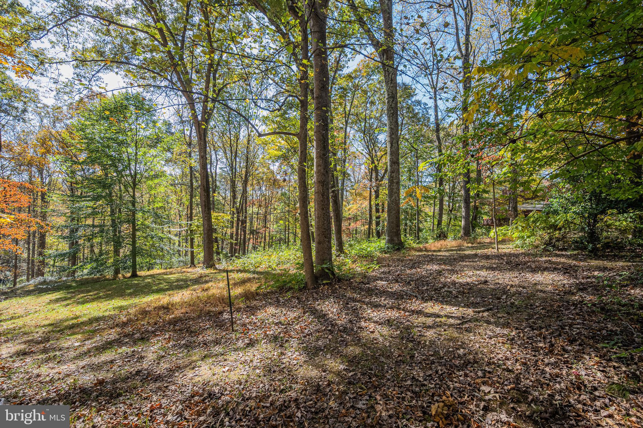 9109 MILL POND VALLEY DRIVE