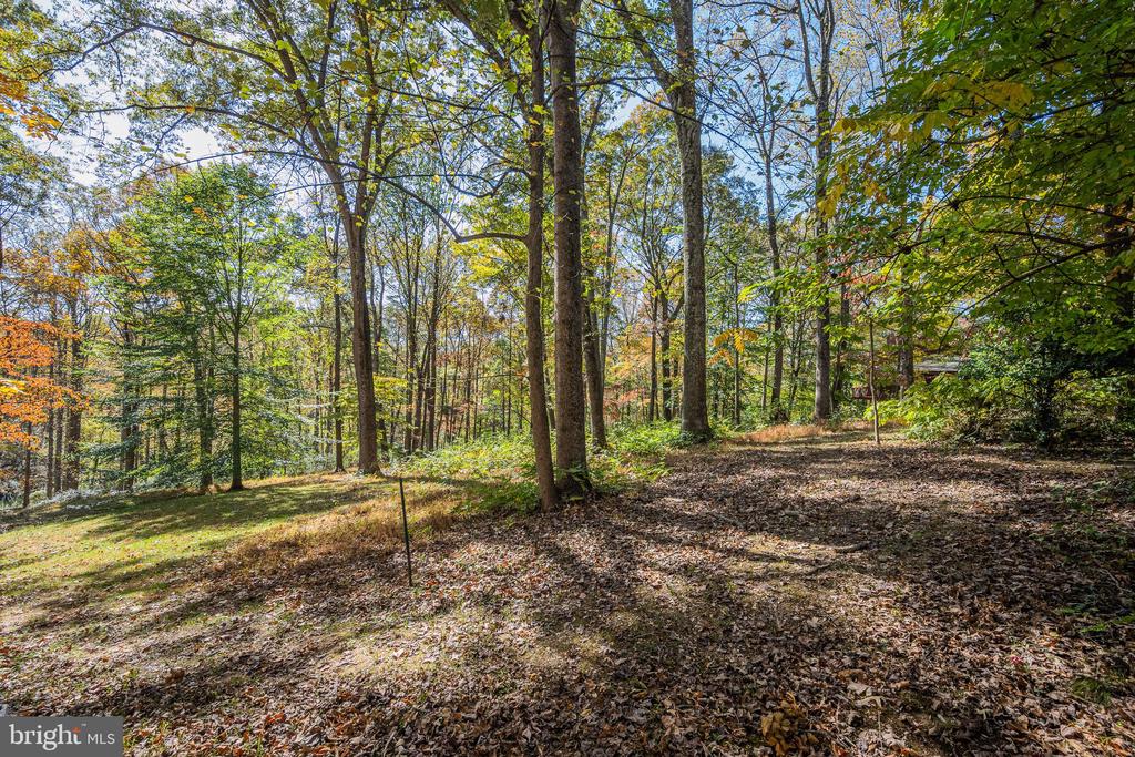 9109 MILL POND VALLEY DRIVE
