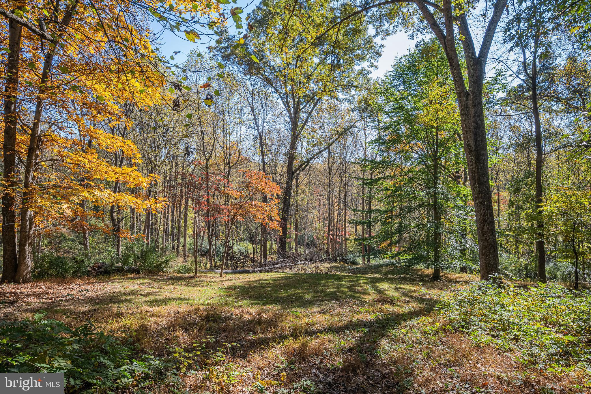 9109 MILL POND VALLEY DRIVE