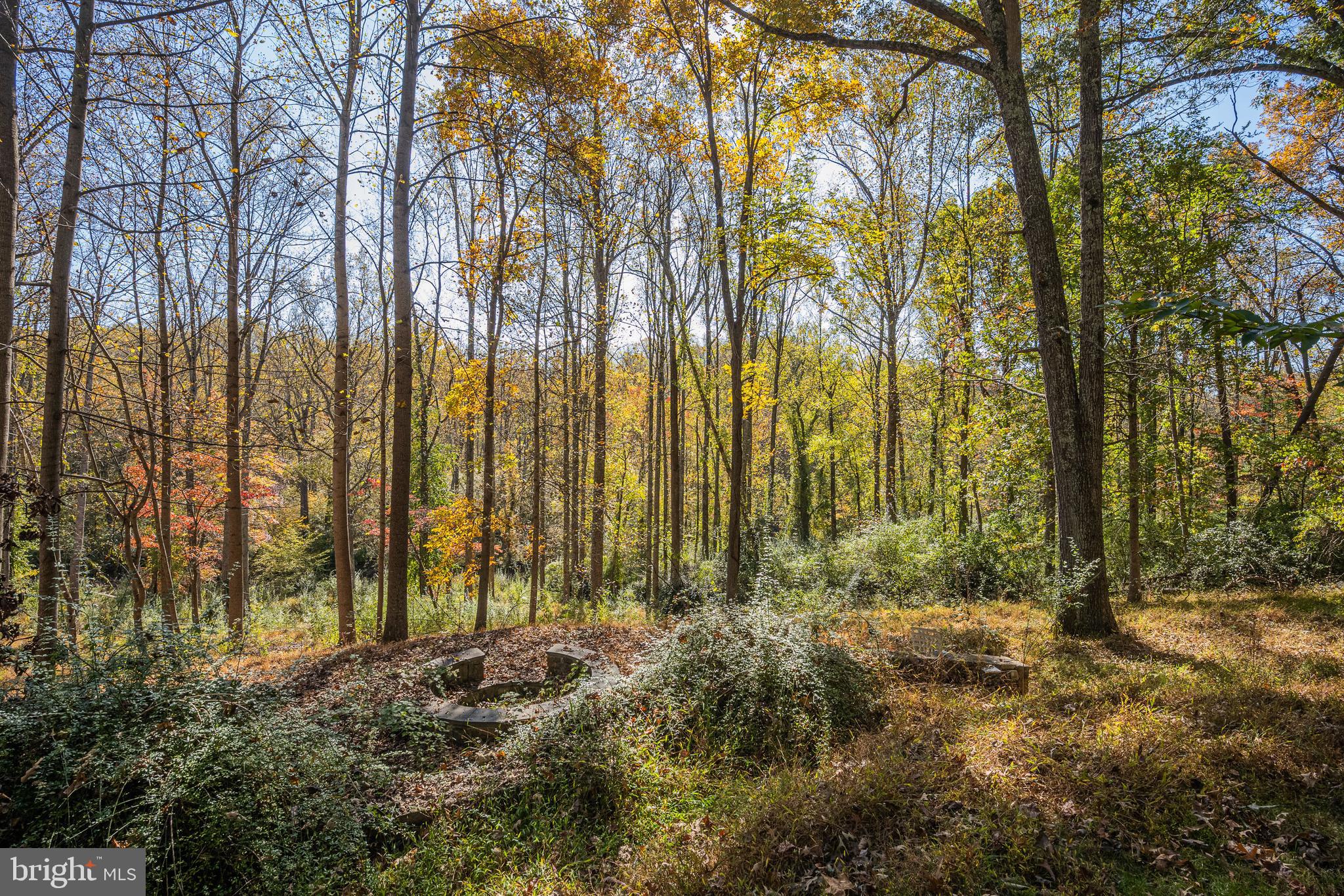 9109 MILL POND VALLEY DRIVE