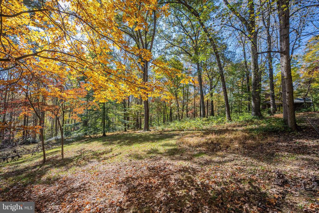 9109 MILL POND VALLEY DRIVE