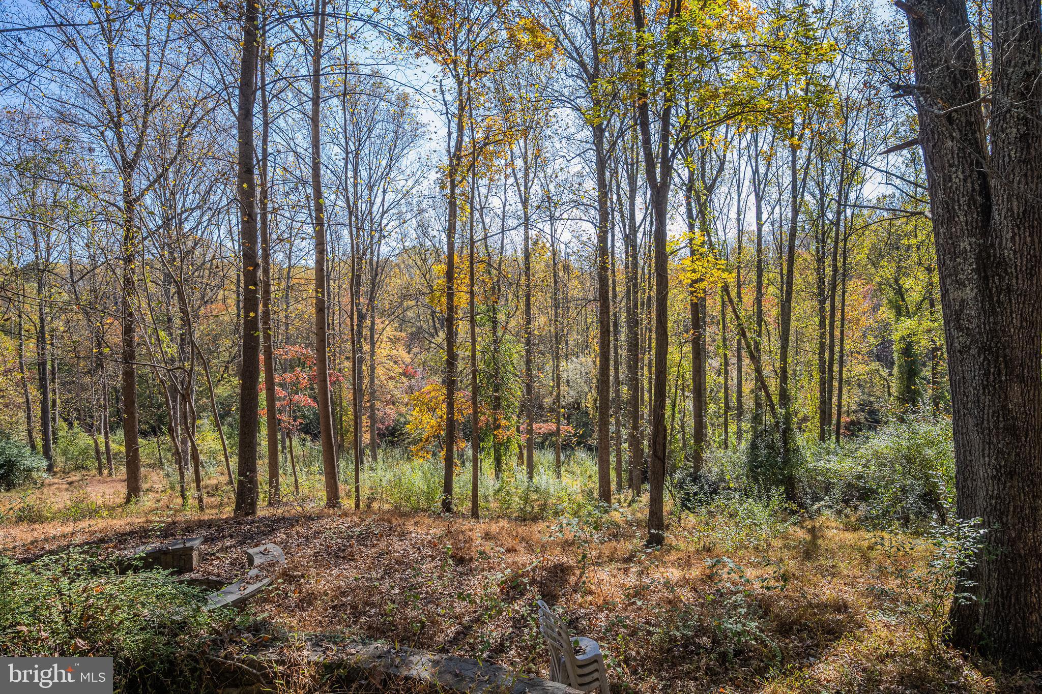 9109 MILL POND VALLEY DRIVE