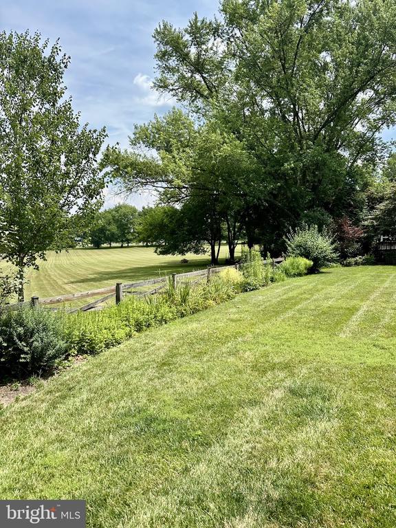 10708 WYNKOOP DRIVE