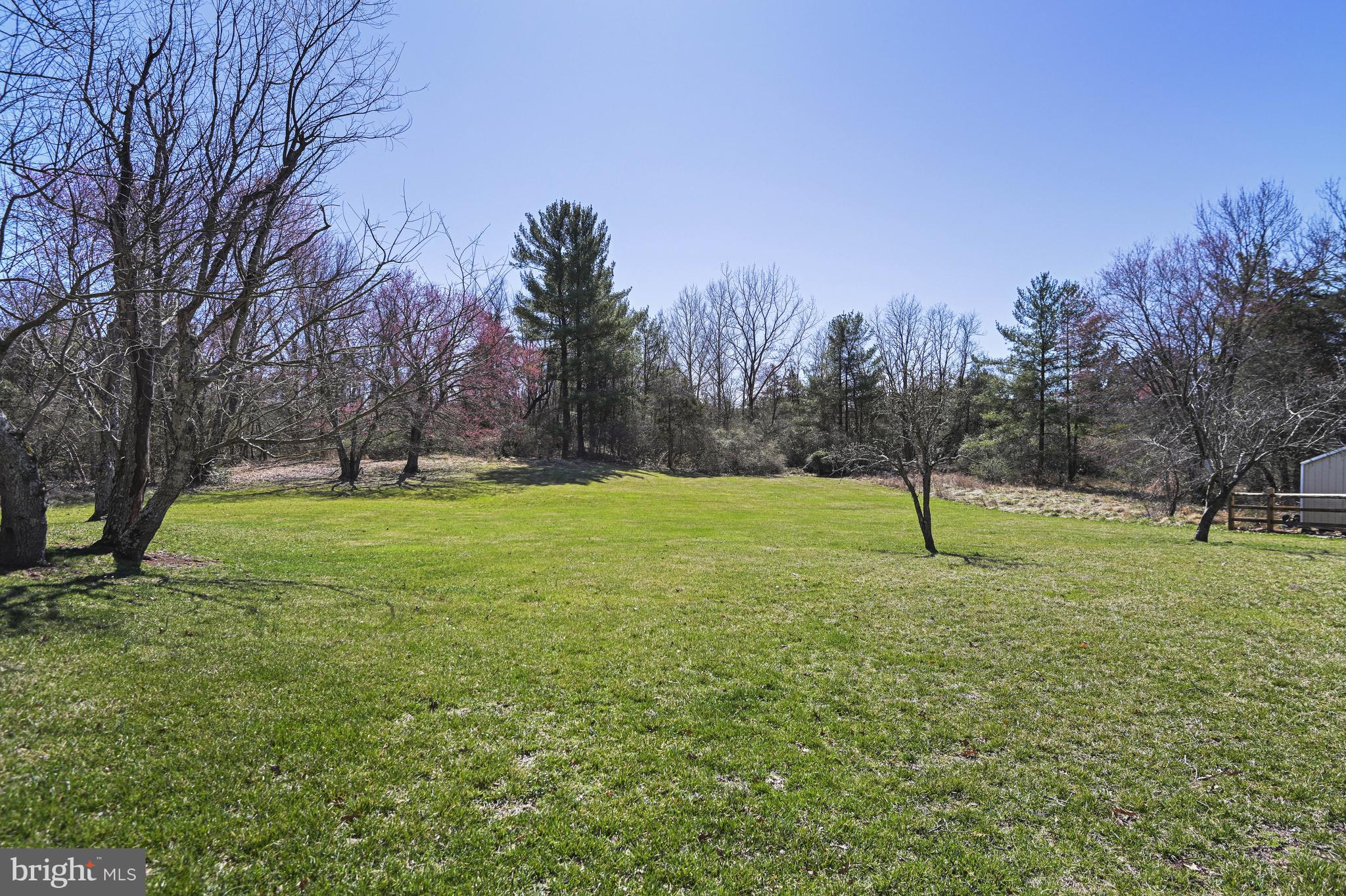 1008 CUP LEAF HOLLY COURT