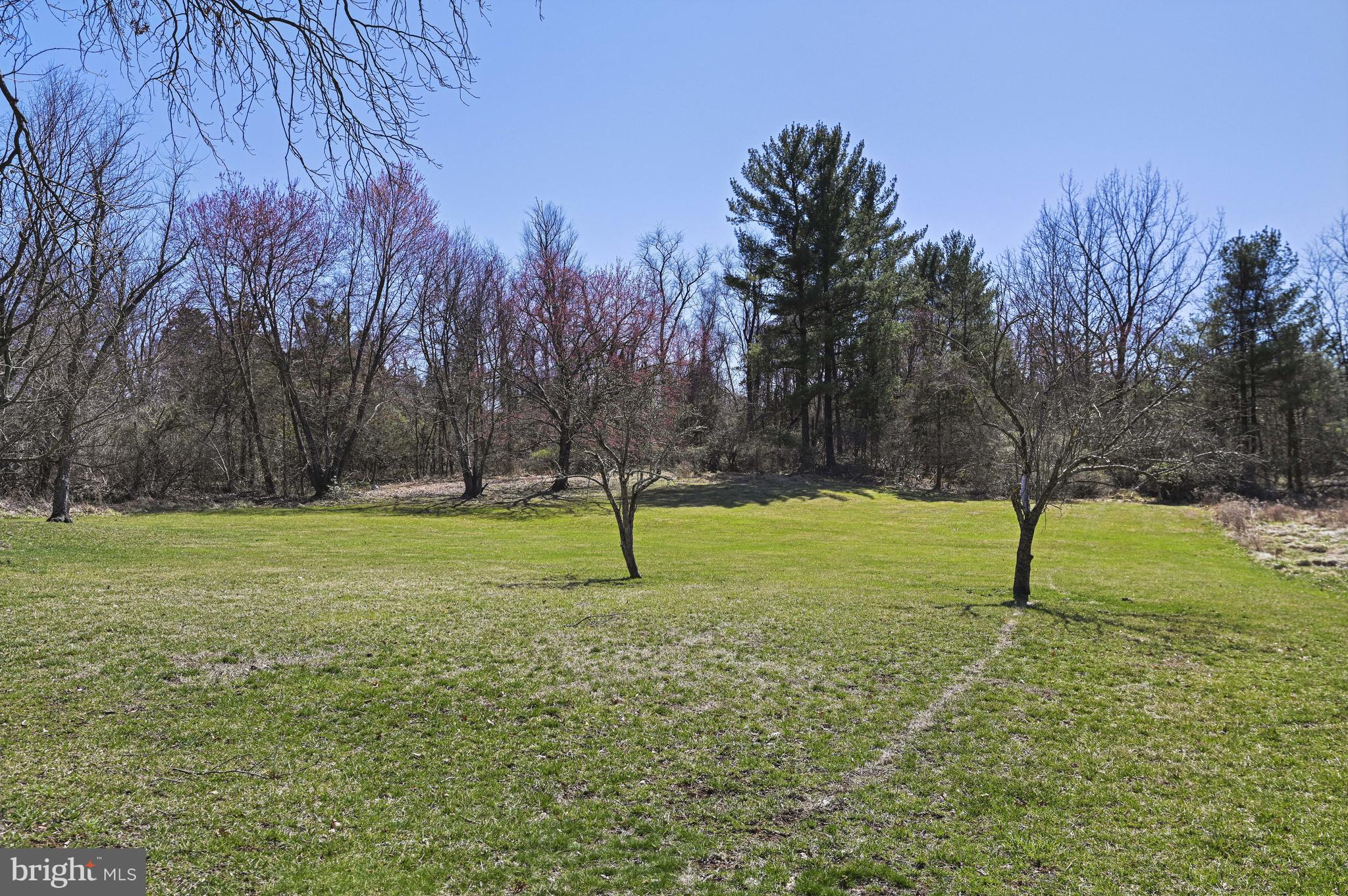 1008 CUP LEAF HOLLY COURT