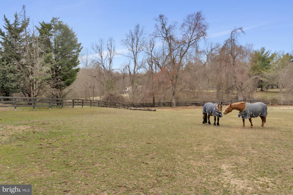 428 WALKER ROAD