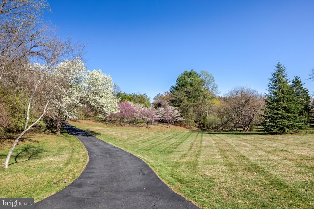 494 SAINT IVES ROAD