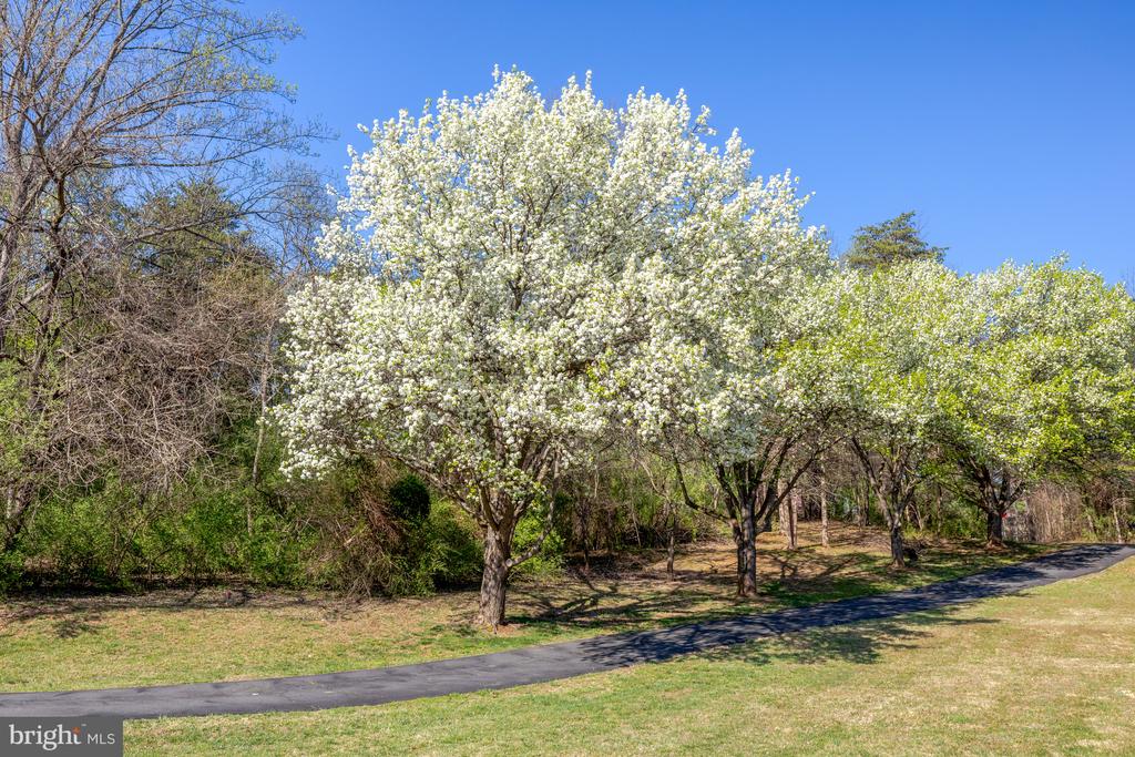 494 SAINT IVES ROAD