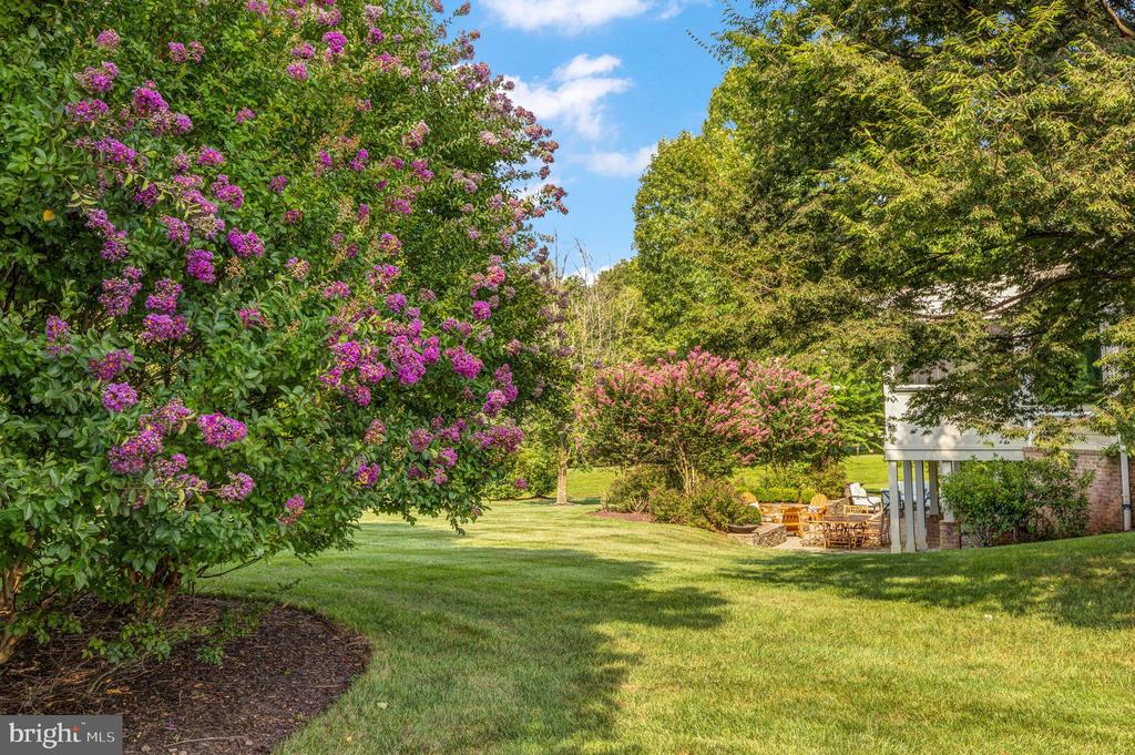 731 STRAWFIELD LANE