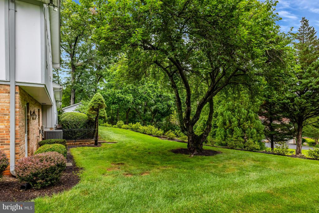 1013 WILHELM DRIVE