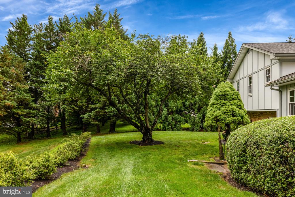 1013 WILHELM DRIVE