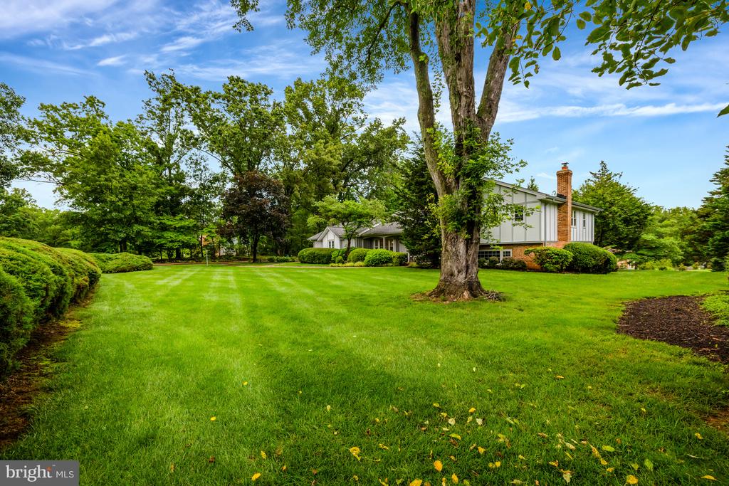 1013 WILHELM DRIVE
