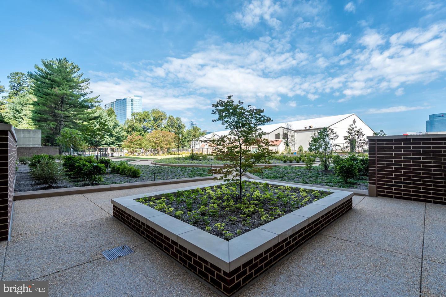 1800 OLD MEADOW ROAD 115