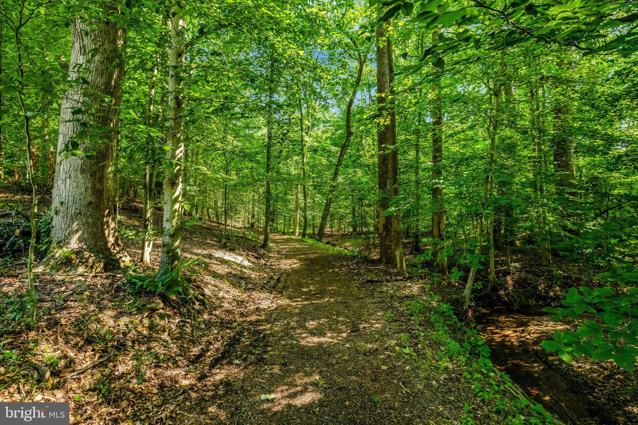 180 RIVER PARK DRIVE