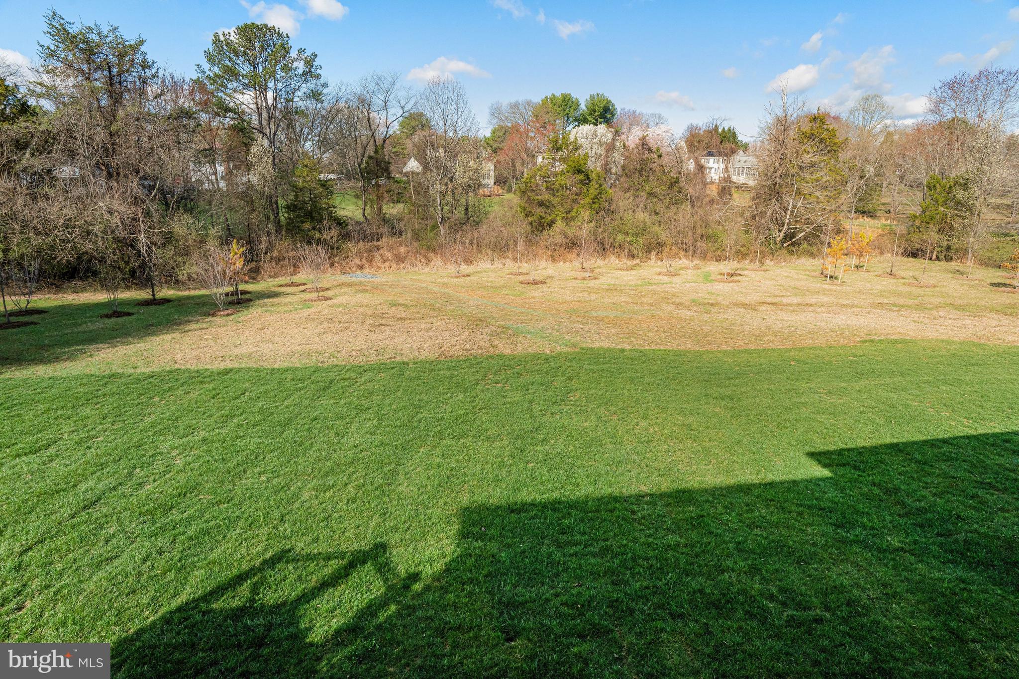 1002 SPRINGVALE ROAD