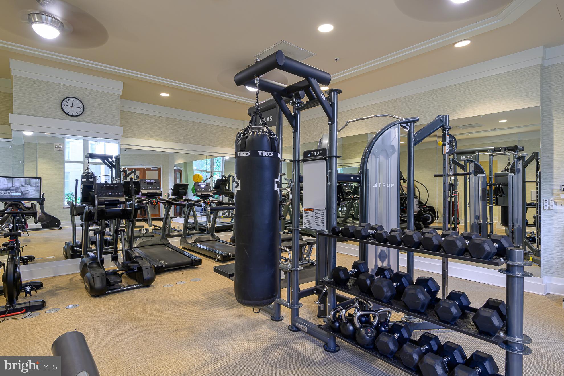 8220 CRESTWOOD HEIGHTS DRIVE 1009