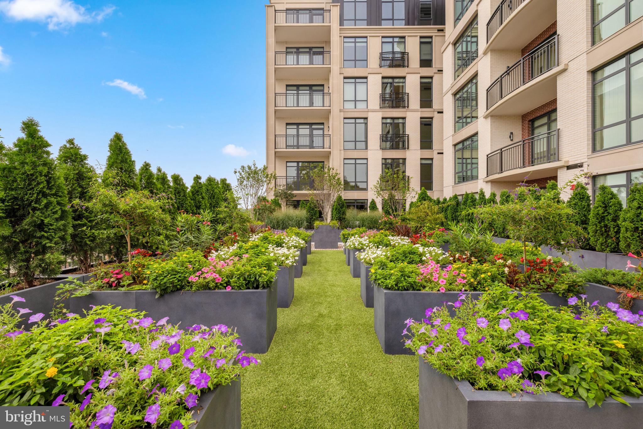 6718 LOWELL AVENUE 801