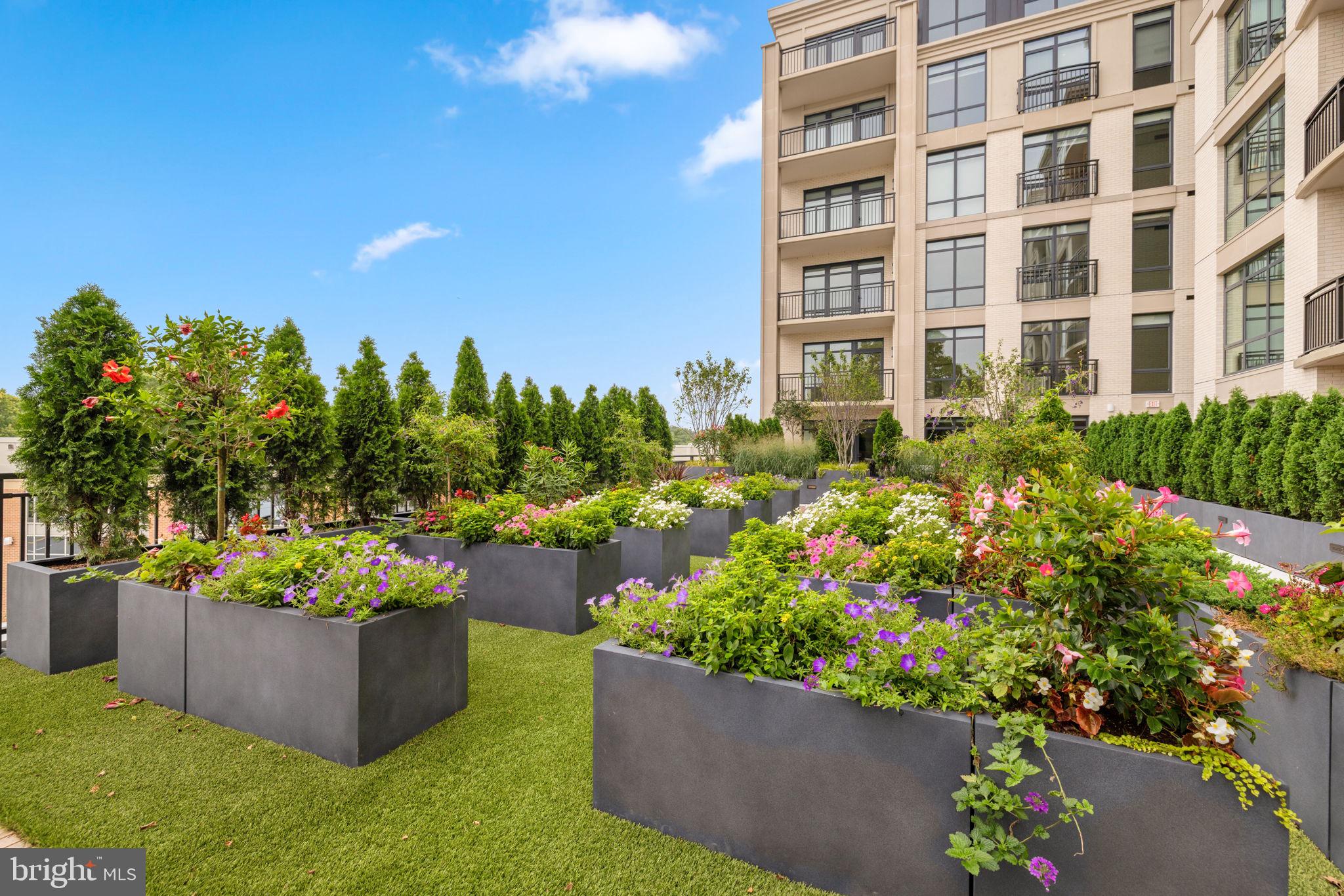 6718 LOWELL AVENUE 801