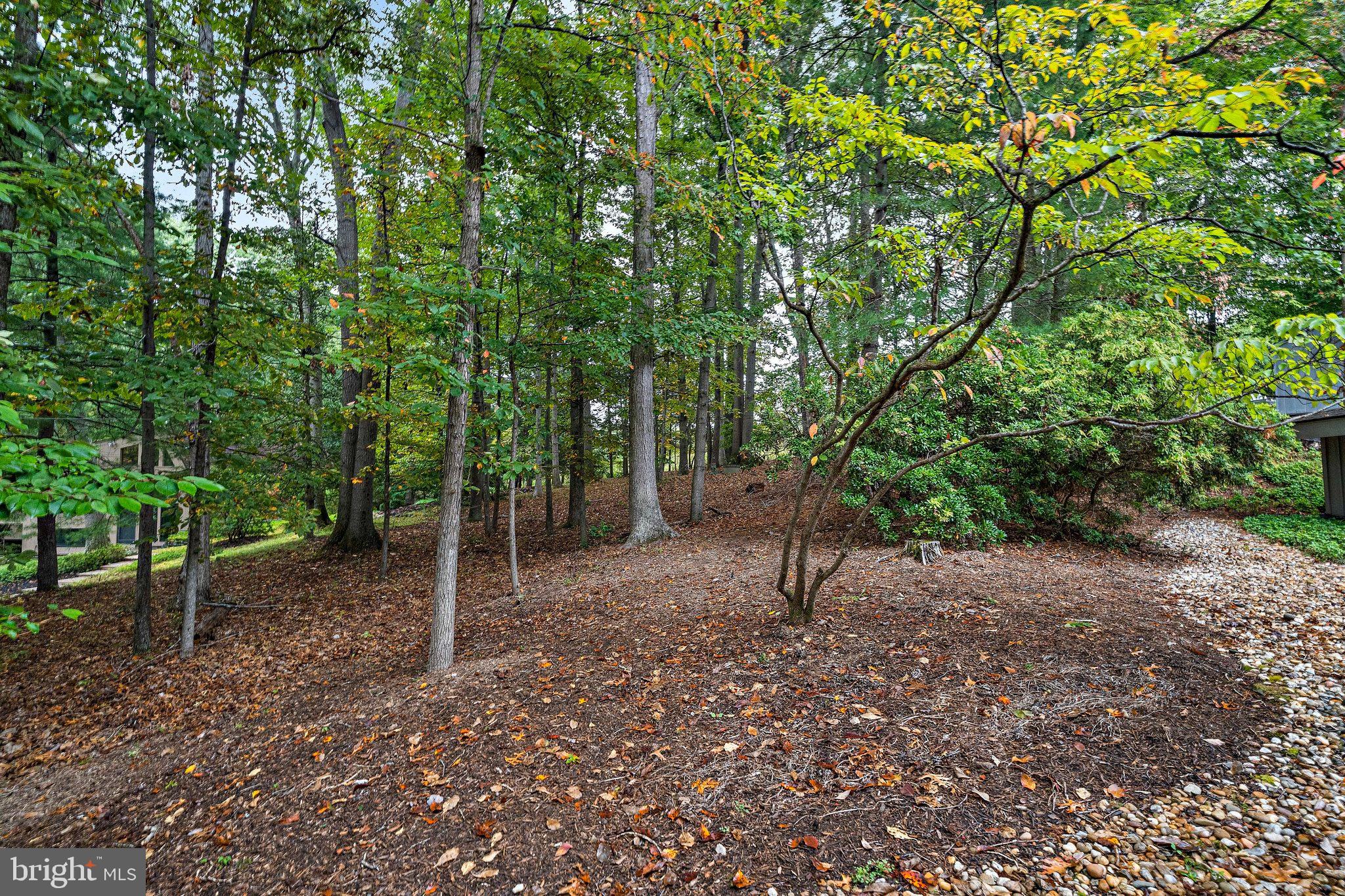 9706 BEACH MILL ROAD