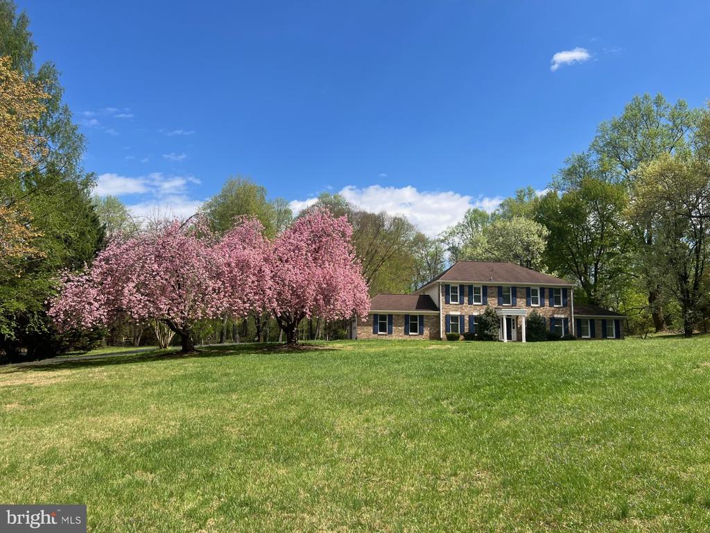 355 SPRINGVALE ROAD
