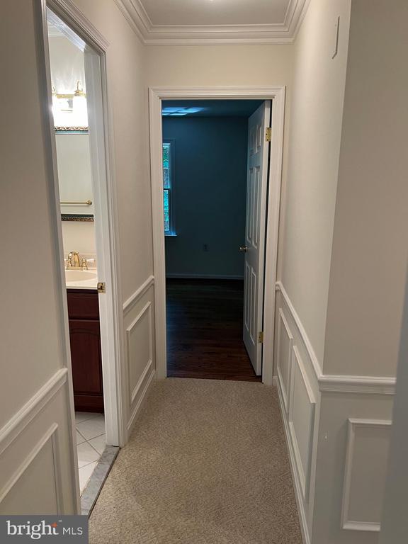 10101 ALSACE COURT