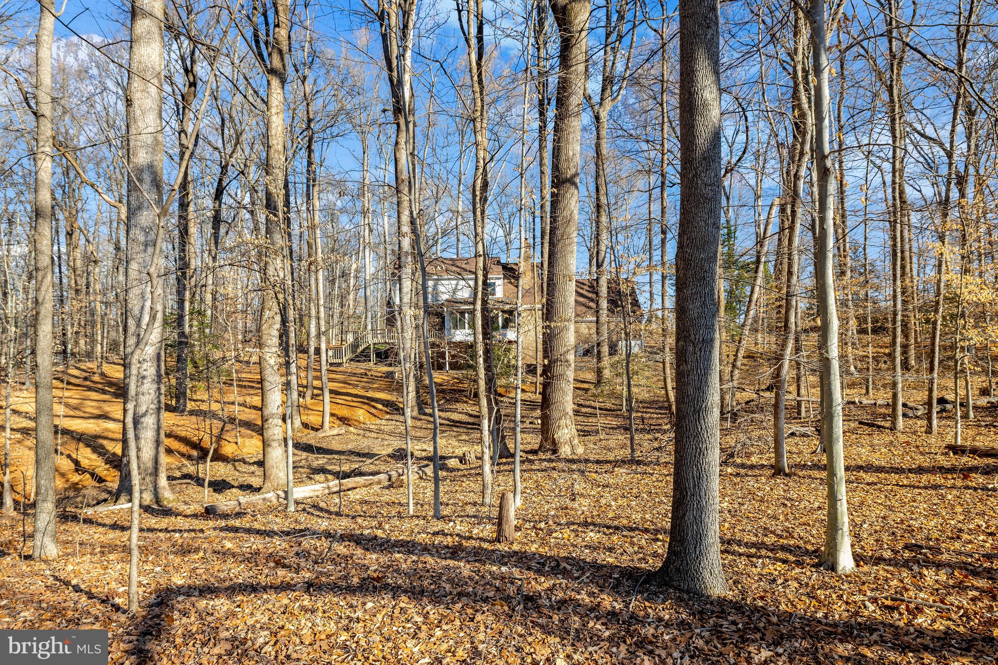 9982 BLACKBERRY LANE