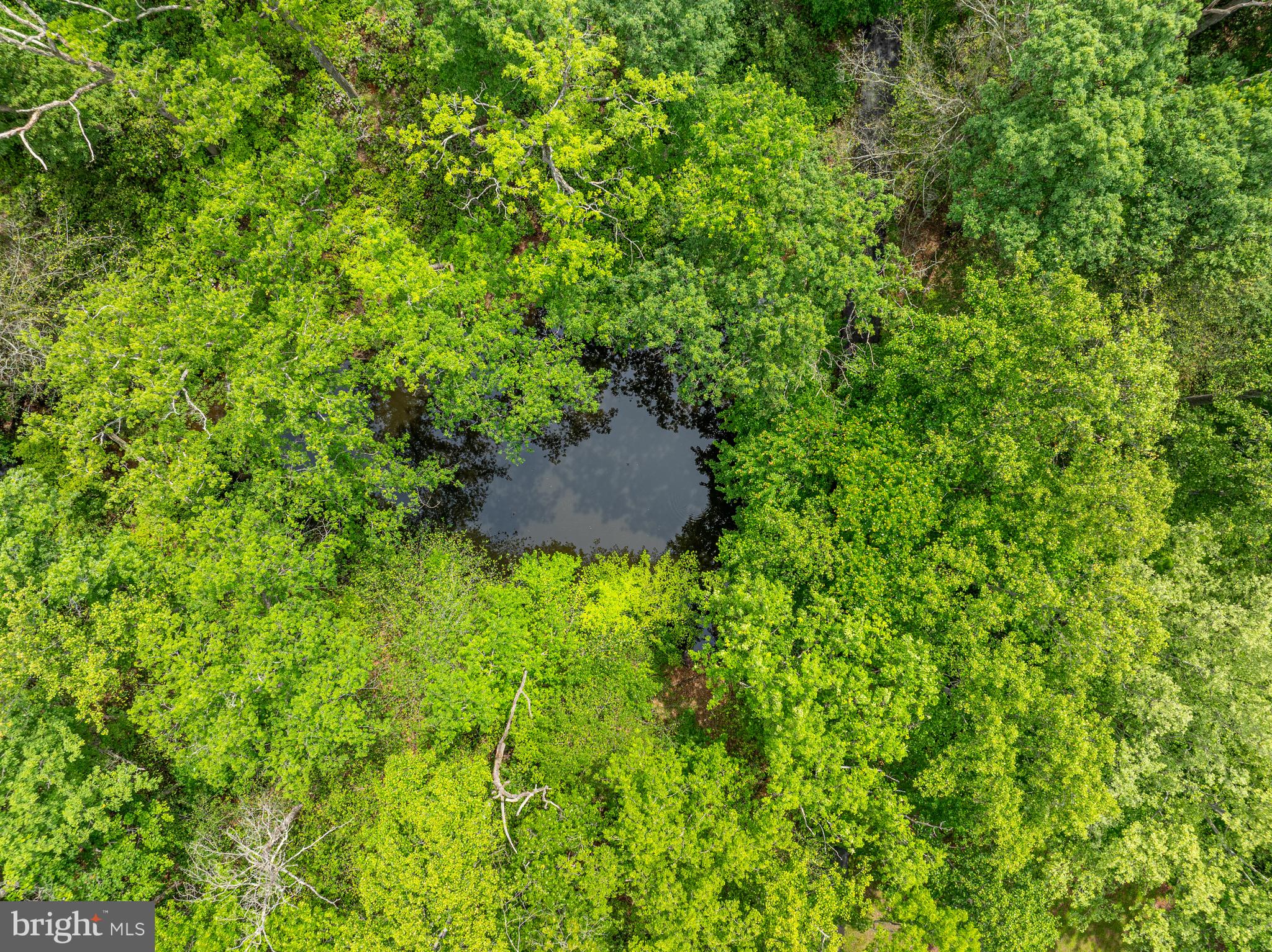 10611 ALLENWOOD LANE