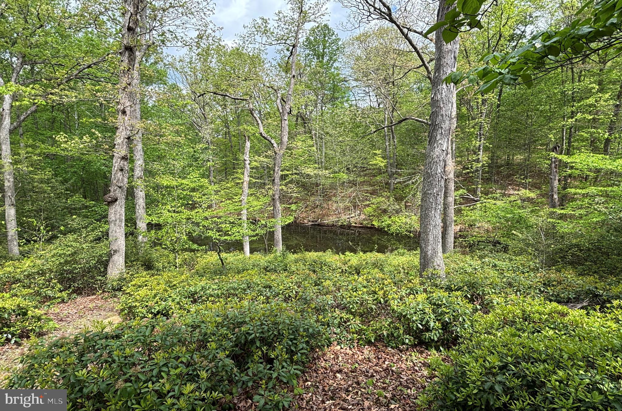 10611 ALLENWOOD LANE