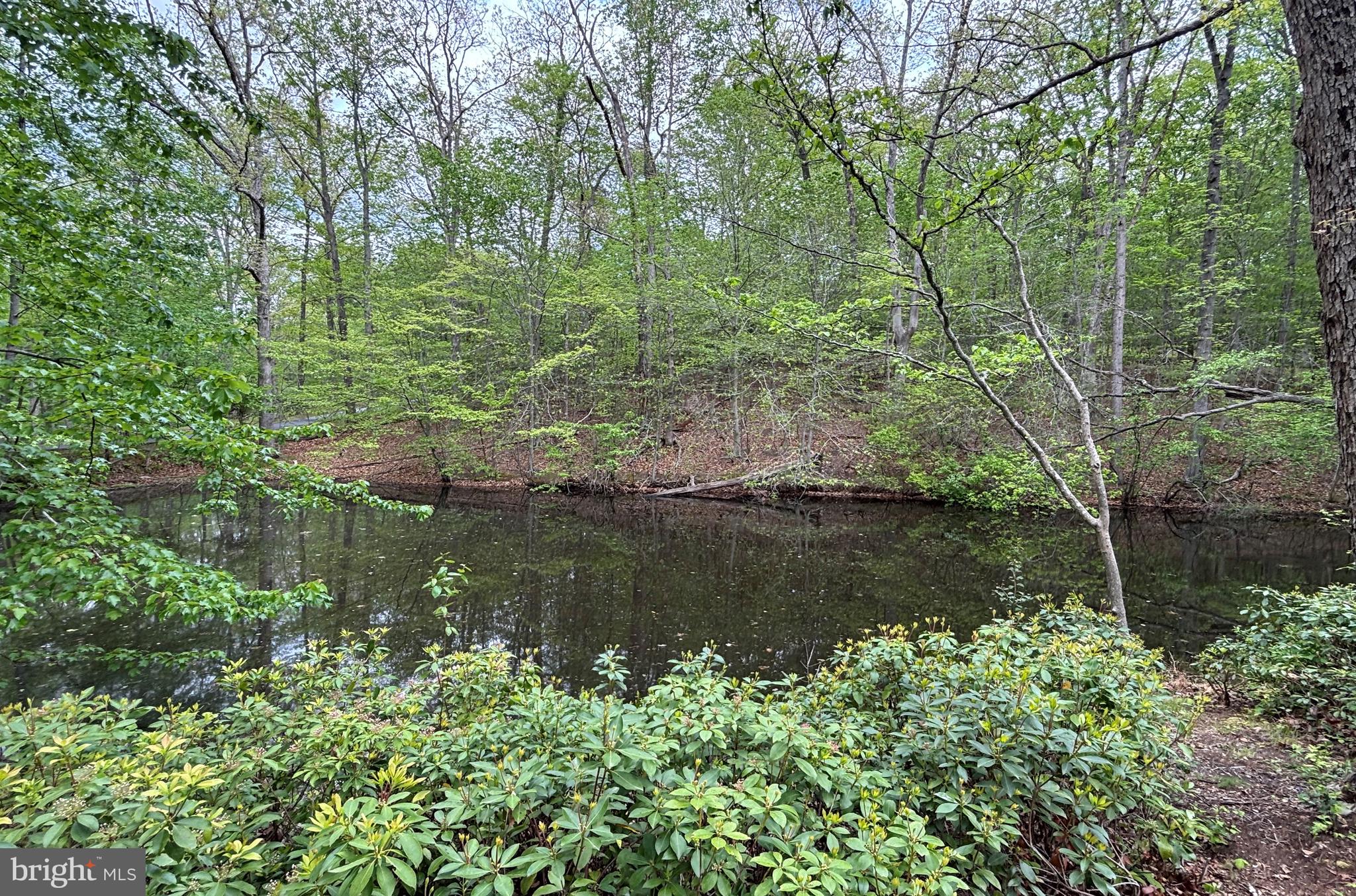 10611 ALLENWOOD LANE