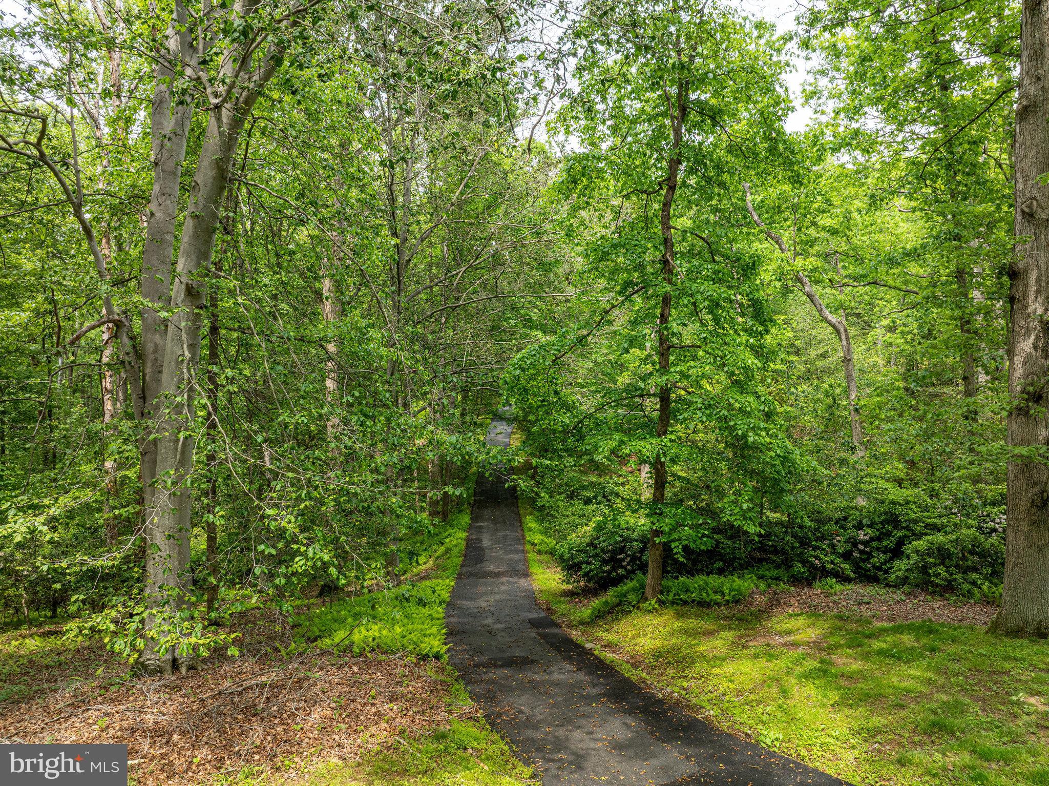 10611 ALLENWOOD LANE