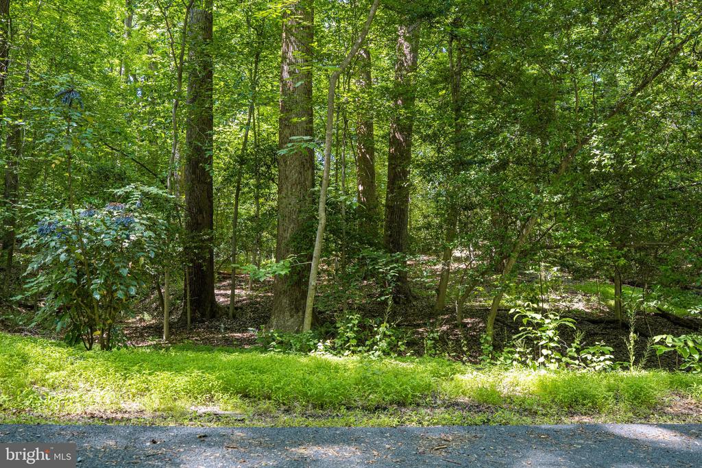95 RIVER BIRCH DRIVE