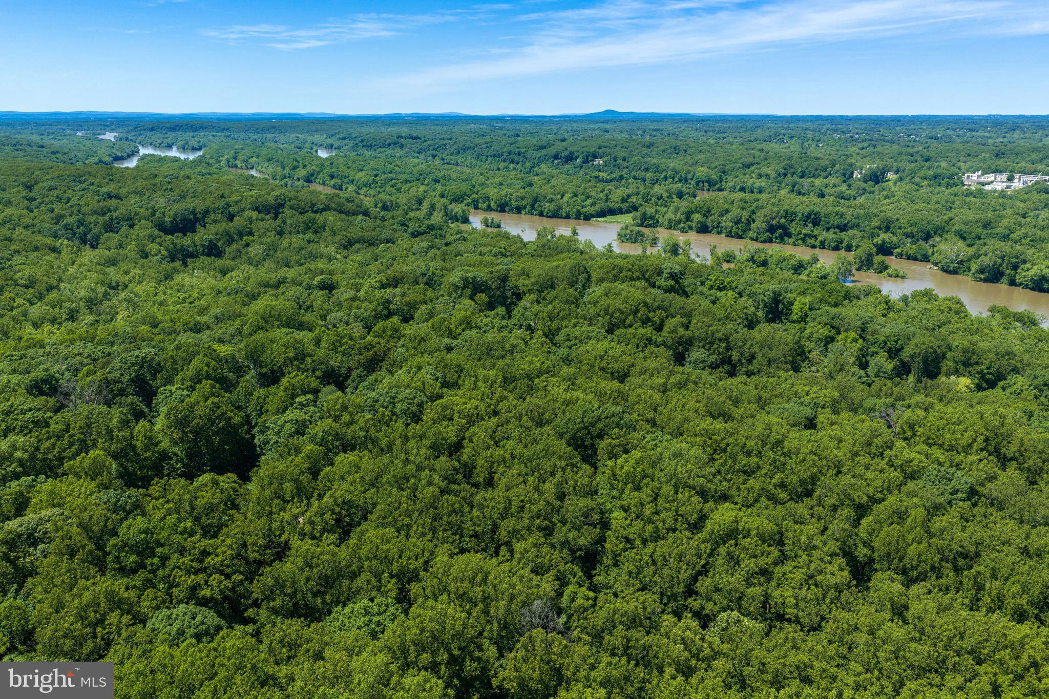 95 RIVER BIRCH DRIVE