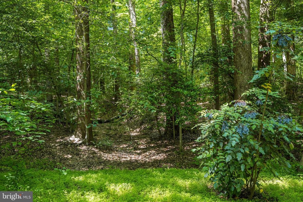 95 RIVER BIRCH DRIVE