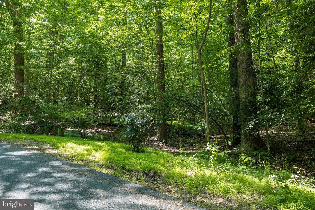 95 RIVER BIRCH DRIVE