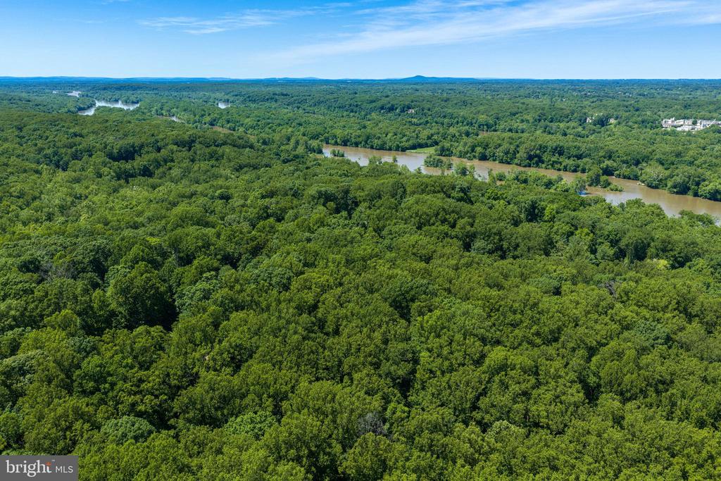 95 RIVER BIRCH DRIVE