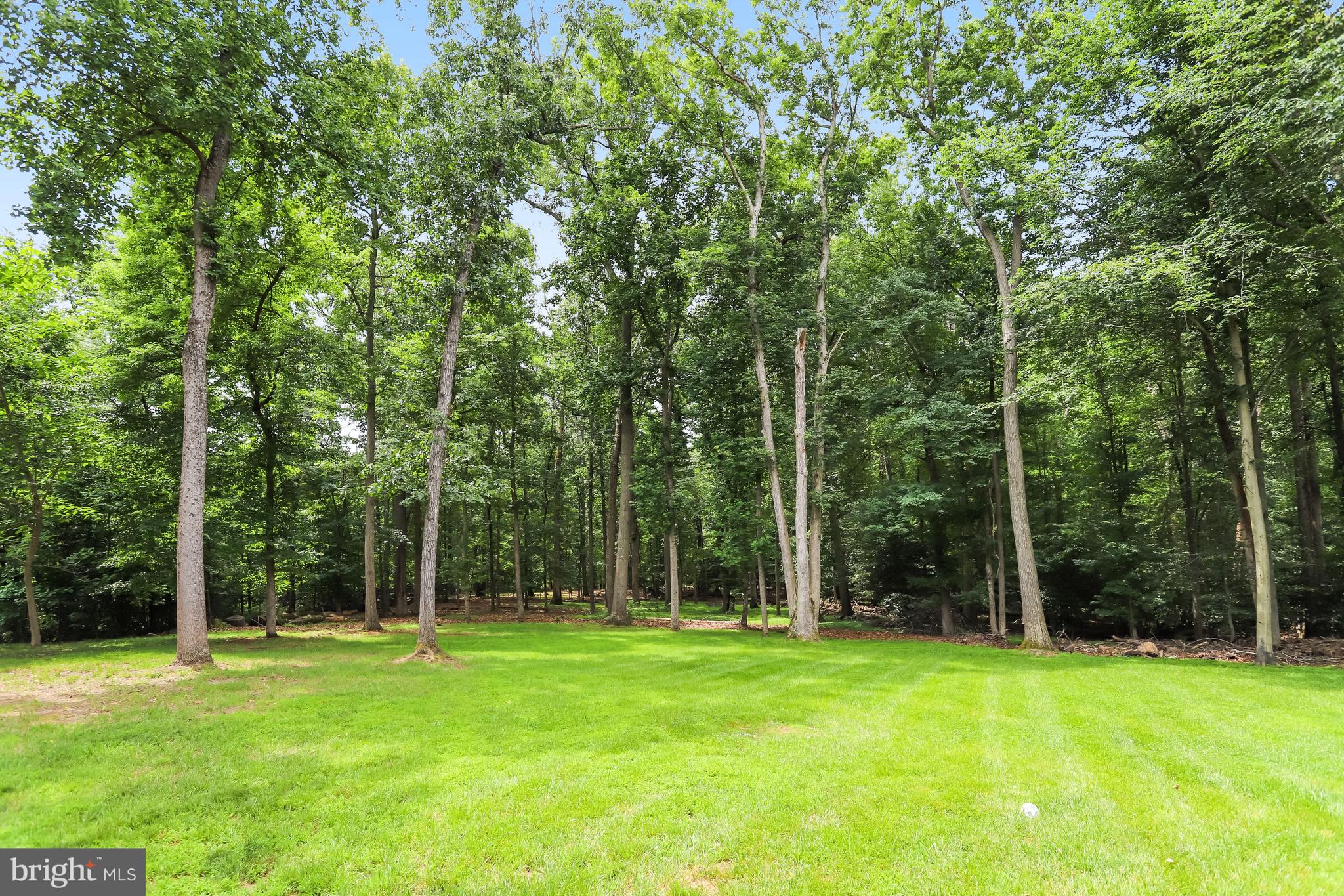 11109 ELMVIEW PLACE