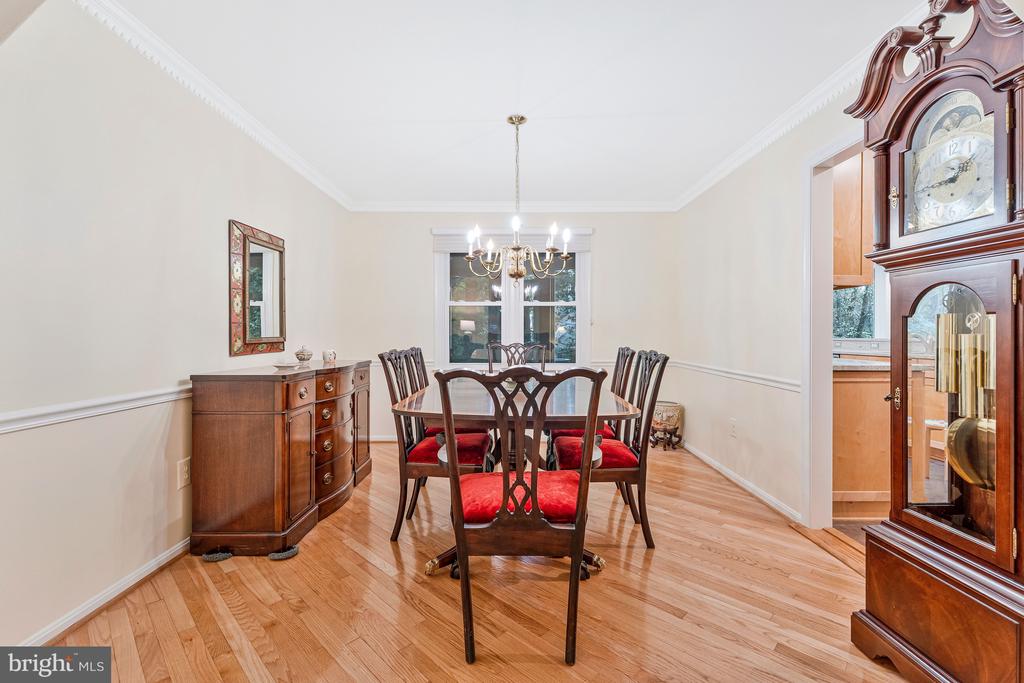 920 HOLLY RUN COURT
