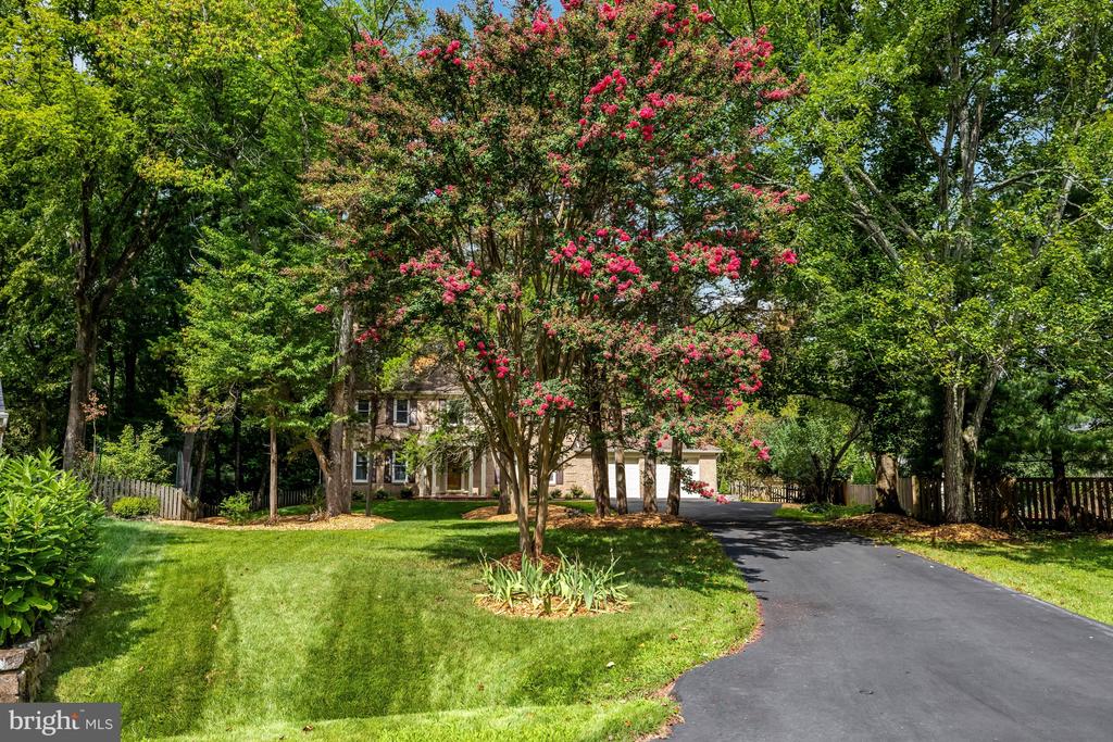 920 HOLLY RUN COURT