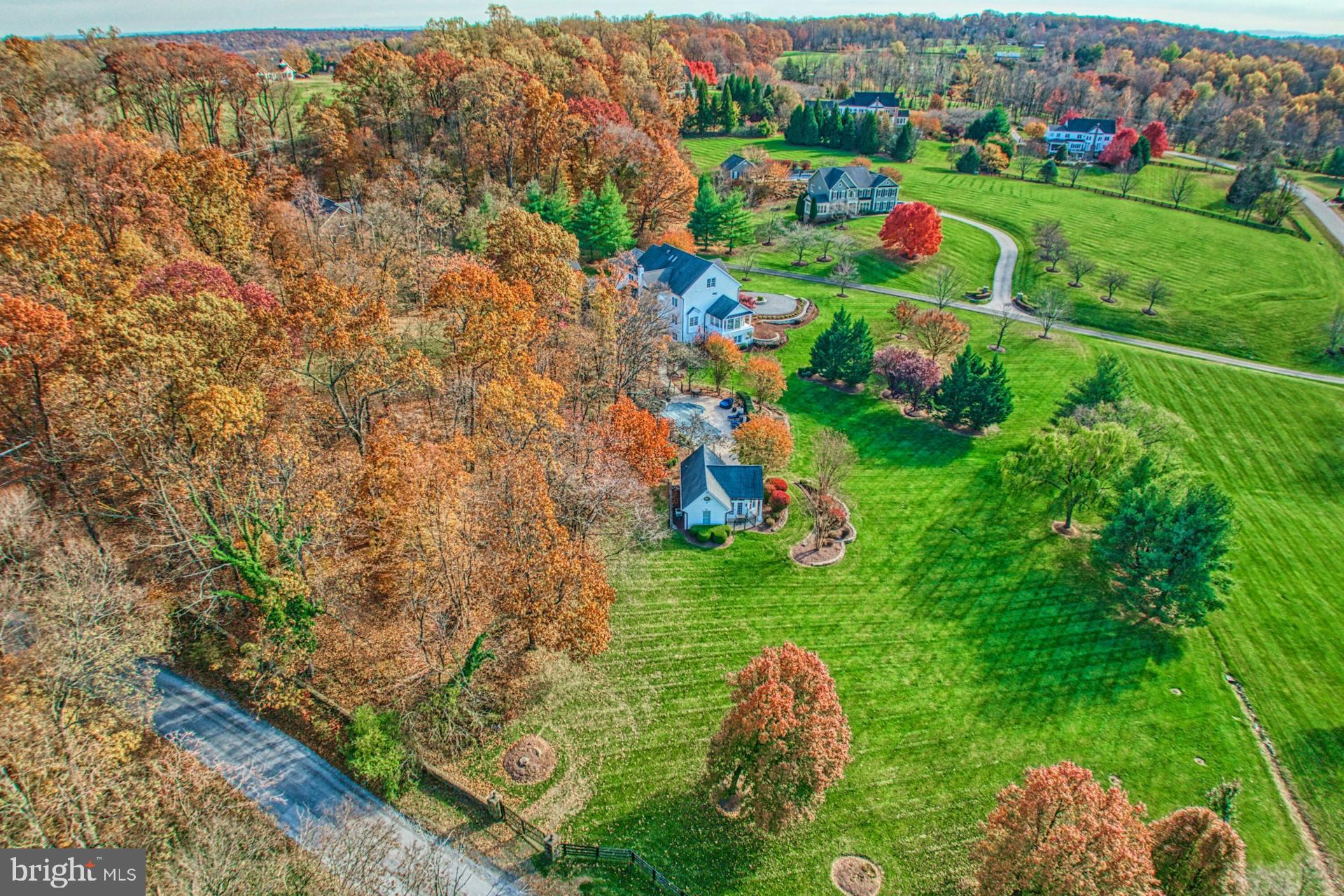 40280 SPECTACULAR BID PLACE