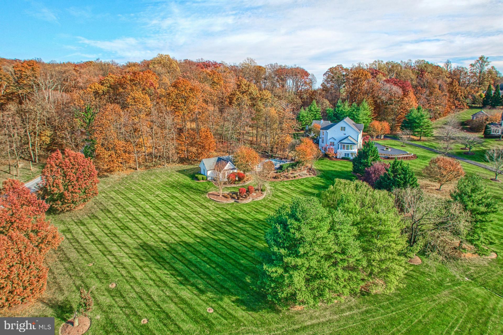 40280 SPECTACULAR BID PLACE