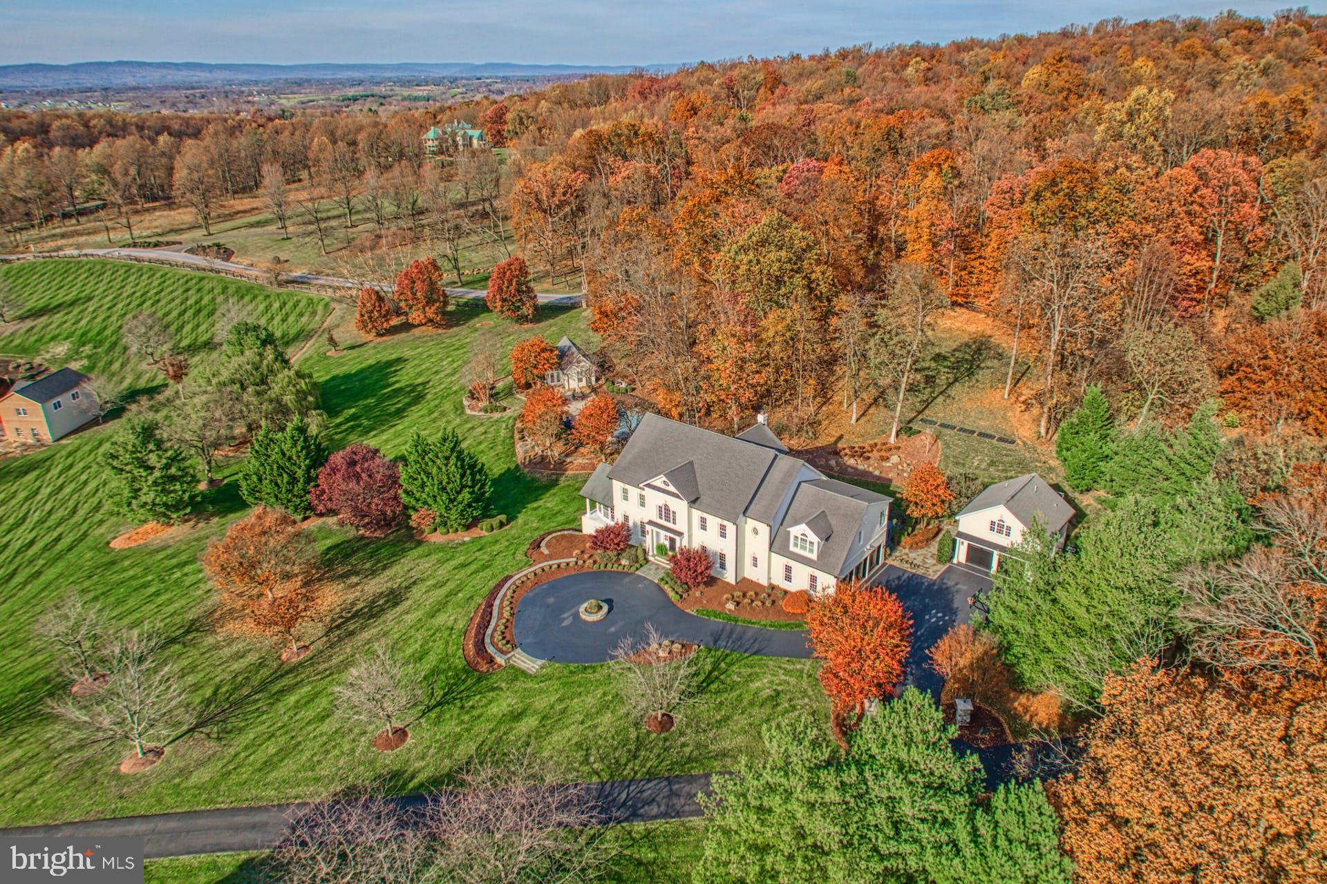 40280 SPECTACULAR BID PLACE