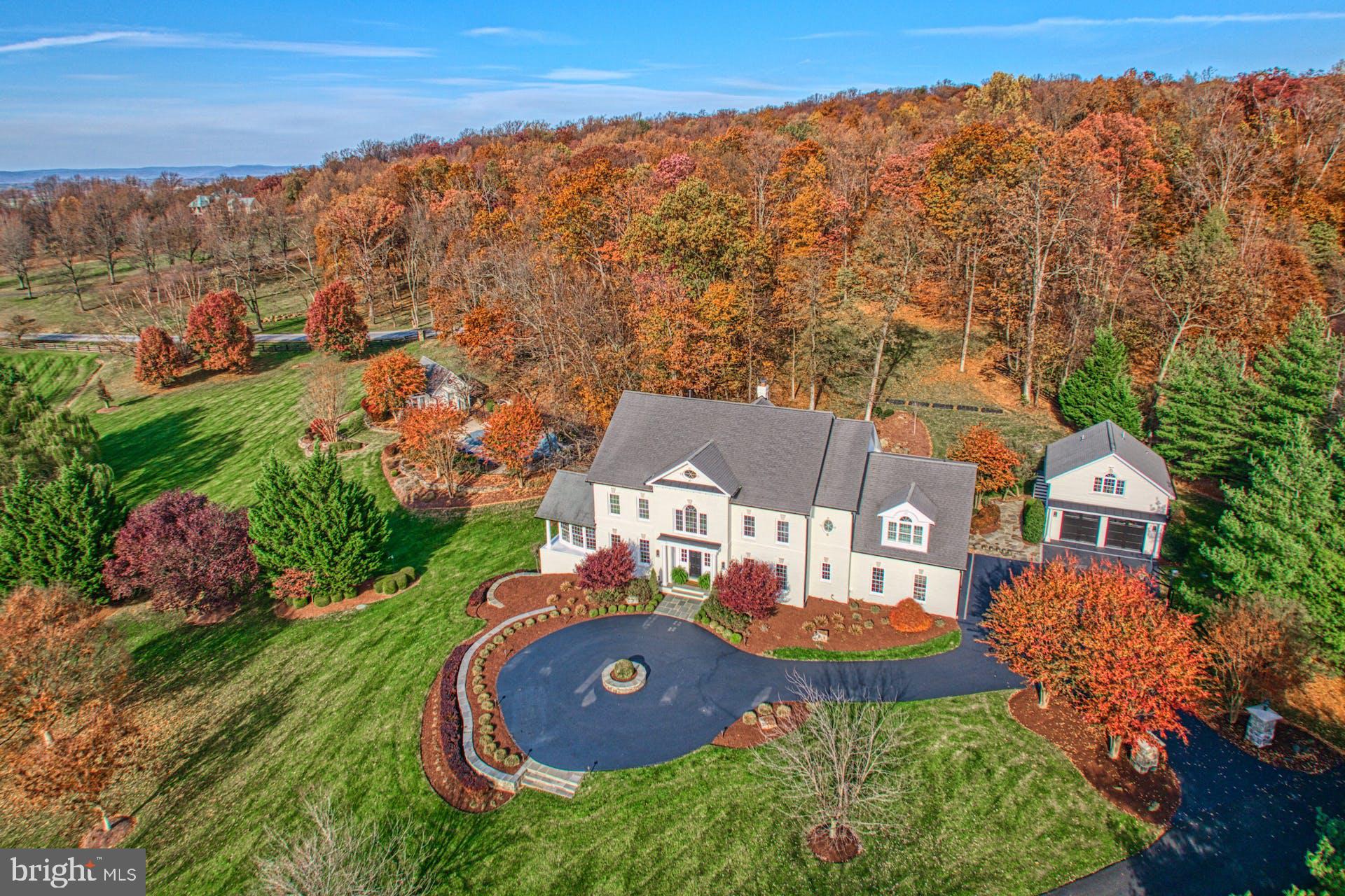 40280 SPECTACULAR BID PLACE