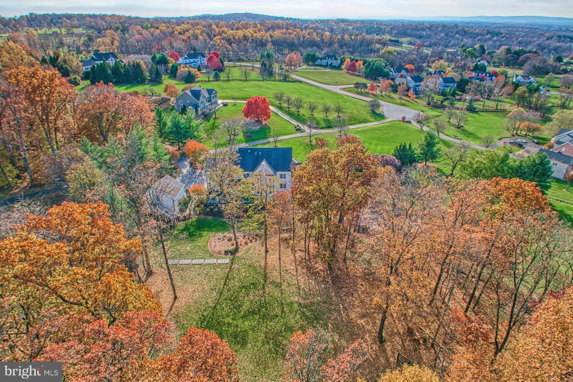 40280 SPECTACULAR BID PLACE