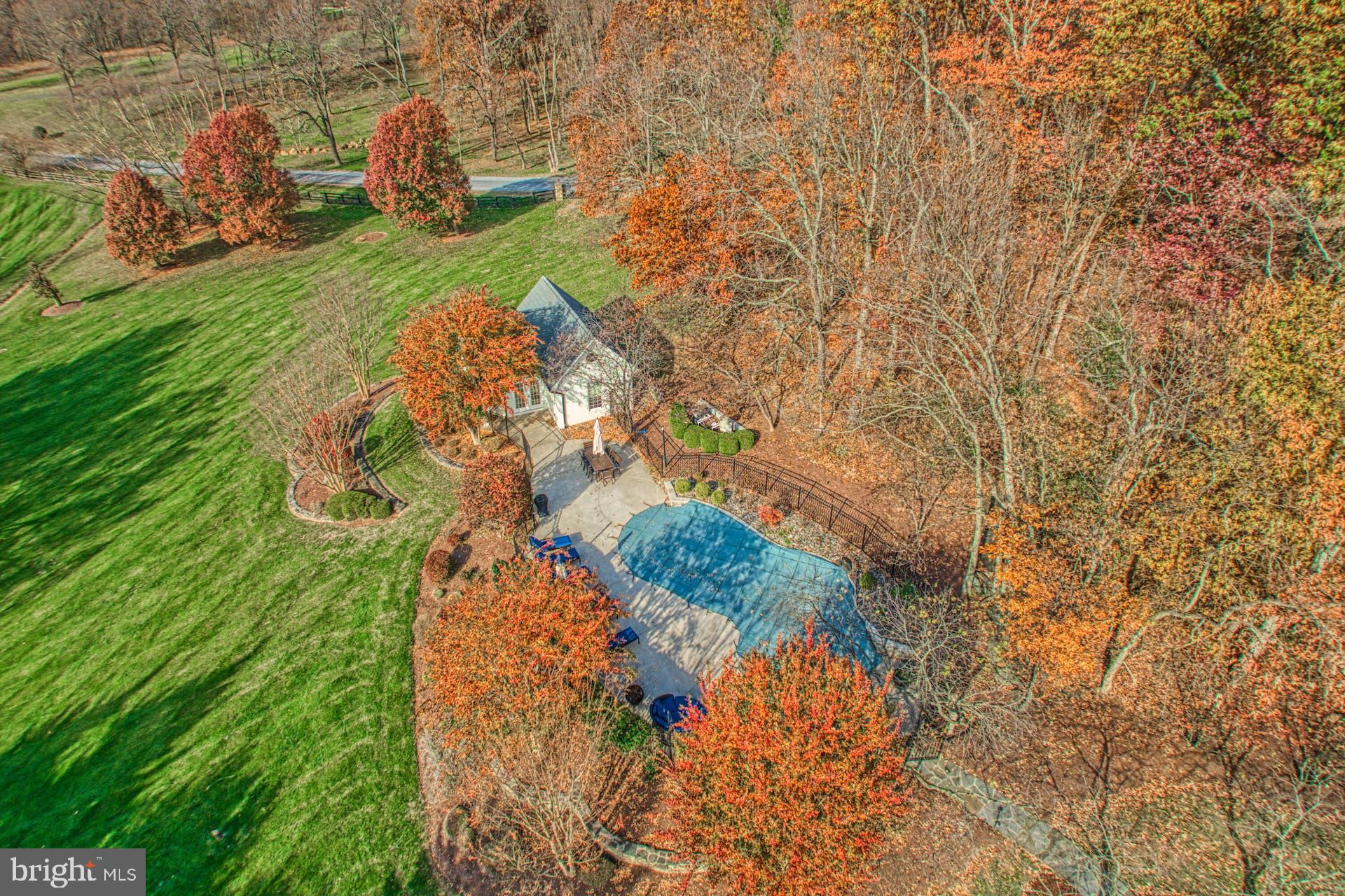 40280 SPECTACULAR BID PLACE