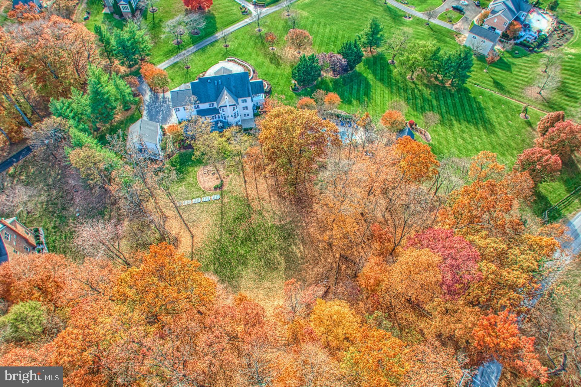 40280 SPECTACULAR BID PLACE